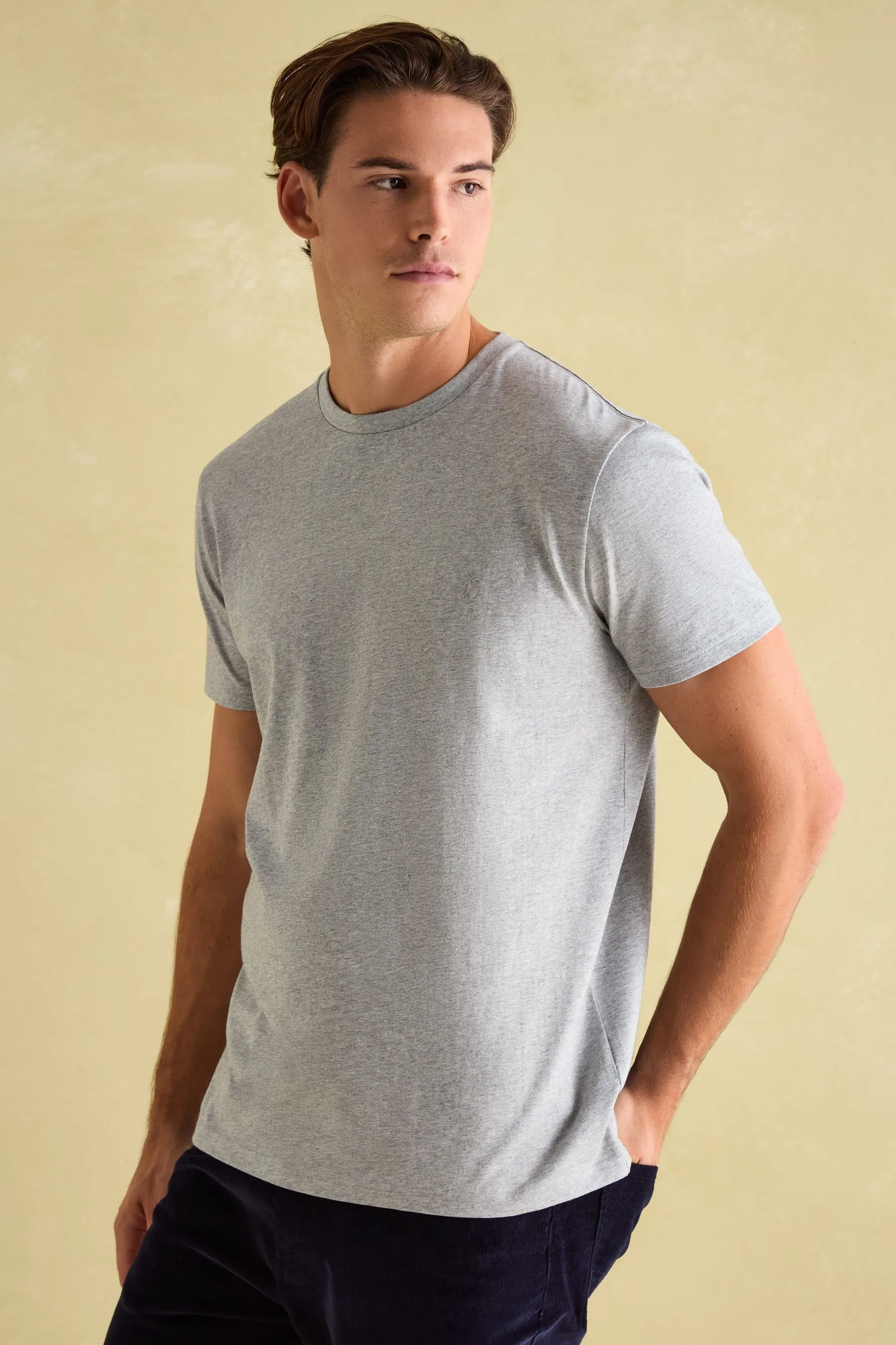 Joules Denton - T-shirt in jersey a righe Girocollo tinta unita    