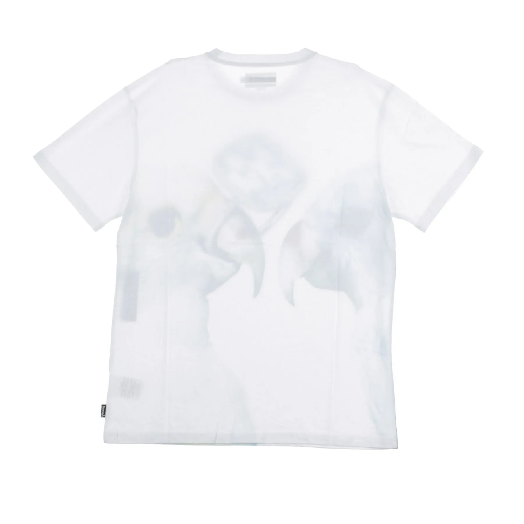 Maglietta Uomo Perroquet White