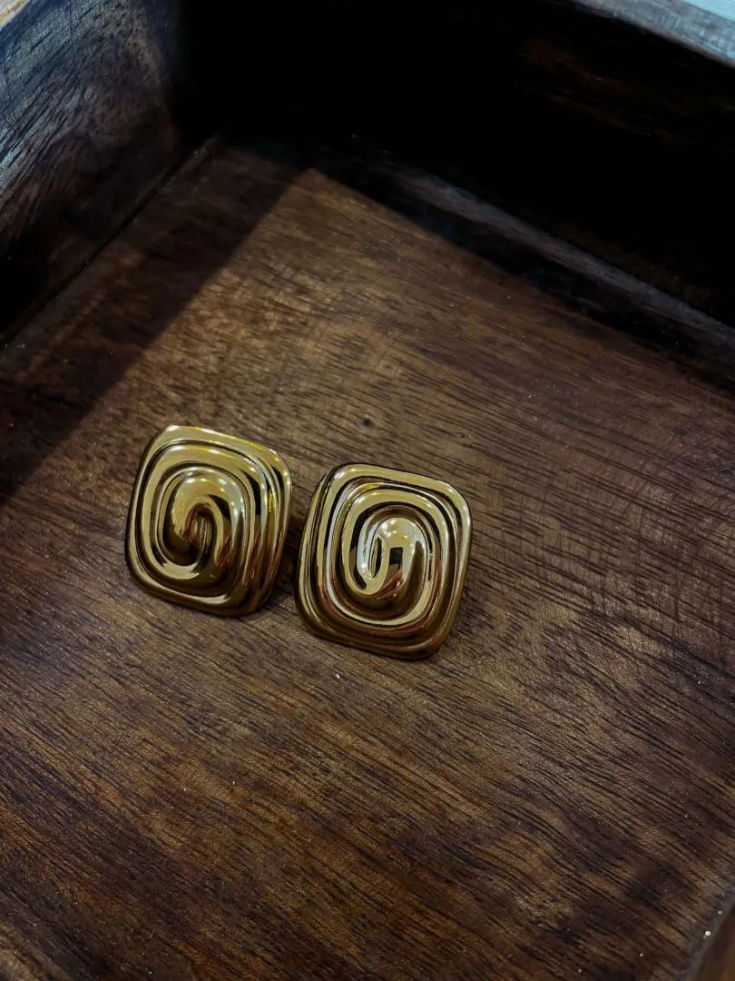 Steel Earrings